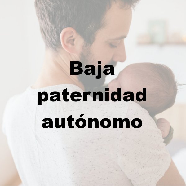 Asesoría para autónomos en Murcia, Asesoría fiscal en Murcia, Asesoría laboral en Murcia, Asesoría contable en Murcia, Contabilidad por horas, Asesoría para declaración de la renta en Murcia, Asesoría para constitución de empresas en Murcia, Asesoría en inspección de hacienda en Murcia, Asesoría para comunidad de bienes en Murcia, Asesoría tributaria en Murcia, Asesoría en subvenciones para autónomos en Murcia
