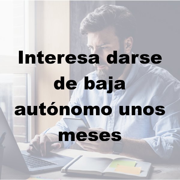 Asesoría para autónomos en Murcia, Asesoría fiscal en Murcia, Asesoría laboral en Murcia, Asesoría contable en Murcia, Contabilidad por horas, Asesoría para declaración de la renta en Murcia, Asesoría para constitución de empresas en Murcia, Asesoría en inspección de hacienda en Murcia, Asesoría para comunidad de bienes en Murcia, Asesoría tributaria en Murcia, Asesoría en subvenciones para autónomos en Murcia