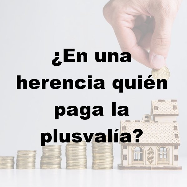 Asesoría para autónomos en Murcia, Asesoría fiscal en Murcia, Asesoría laboral en Murcia, Asesoría contable en Murcia, Contabilidad por horas, Asesoría para declaración de la renta en Murcia, Asesoría para constitución de empresas en Murcia, Asesoría en inspección de hacienda en Murcia, Asesoría para comunidad de bienes en Murcia, Asesoría tributaria en Murcia, Asesoría en subvenciones para autónomos en Murcia