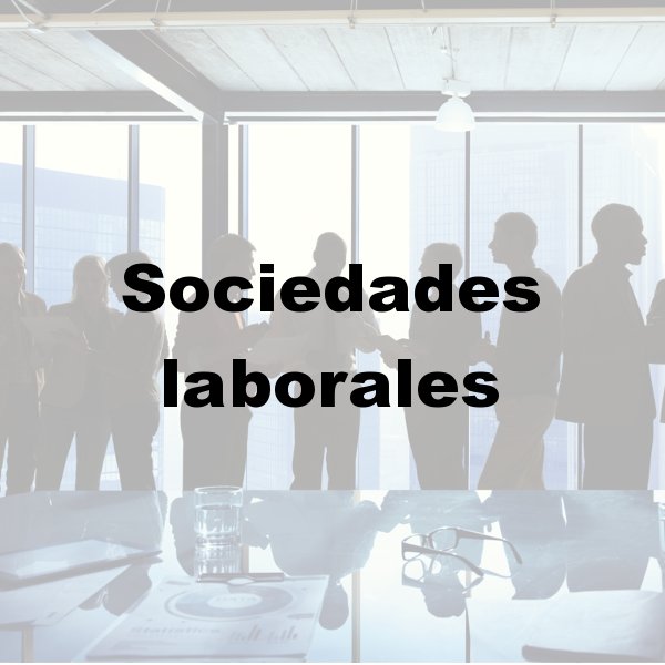 Asesoría para autónomos en Murcia, Asesoría fiscal en Murcia, Asesoría laboral en Murcia, Asesoría contable en Murcia, Contabilidad por horas, Asesoría para declaración de la renta en Murcia, Asesoría para constitución de empresas en Murcia, Asesoría en inspección de hacienda en Murcia, Asesoría para comunidad de bienes en Murcia, Asesoría tributaria en Murcia, Asesoría en subvenciones para autónomos en Murcia