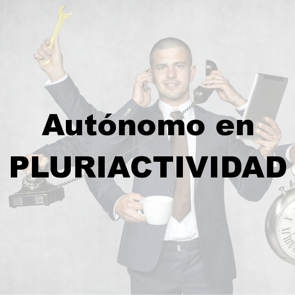 Asesoría para autónomos en Murcia, Asesoría fiscal en Murcia, Asesoría laboral en Murcia, Asesoría contable en Murcia, Contabilidad por horas, Asesoría para declaración de la renta en Murcia, Asesoría para constitución de empresas en Murcia, Asesoría en inspección de hacienda en Murcia, Asesoría para comunidad de bienes en Murcia, Asesoría tributaria en Murcia, Asesoría en subvenciones para autónomos en Murcia