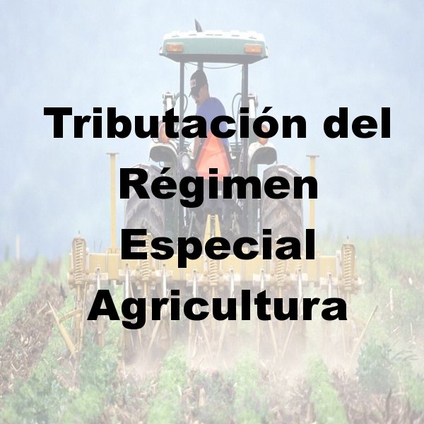 Asesoría para autónomos en Murcia, Asesoría fiscal en Murcia, Asesoría laboral en Murcia, Asesoría contable en Murcia, Contabilidad por horas, Asesoría para declaración de la renta en Murcia, Asesoría para constitución de empresas en Murcia, Asesoría en inspección de hacienda en Murcia, Asesoría para comunidad de bienes en Murcia, Asesoría tributaria en Murcia, Asesoría en subvenciones para autónomos en Murcia