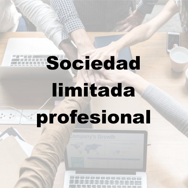 Asesoría para autónomos en Murcia, Asesoría fiscal en Murcia, Asesoría laboral en Murcia, Asesoría contable en Murcia, Contabilidad por horas, Asesoría para declaración de la renta en Murcia, Asesoría para constitución de empresas en Murcia, Asesoría en inspección de hacienda en Murcia, Asesoría para comunidad de bienes en Murcia, Asesoría tributaria en Murcia, Asesoría en subvenciones para autónomos en Murcia