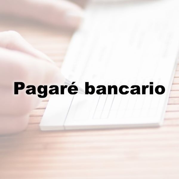 Asesoría para autónomos en Murcia, Asesoría fiscal en Murcia, Asesoría laboral en Murcia, Asesoría contable en Murcia, Contabilidad por horas, Asesoría para declaración de la renta en Murcia, Asesoría para constitución de empresas en Murcia, Asesoría en inspección de hacienda en Murcia, Asesoría para comunidad de bienes en Murcia, Asesoría tributaria en Murcia, Asesoría en subvenciones para autónomos en Murcia